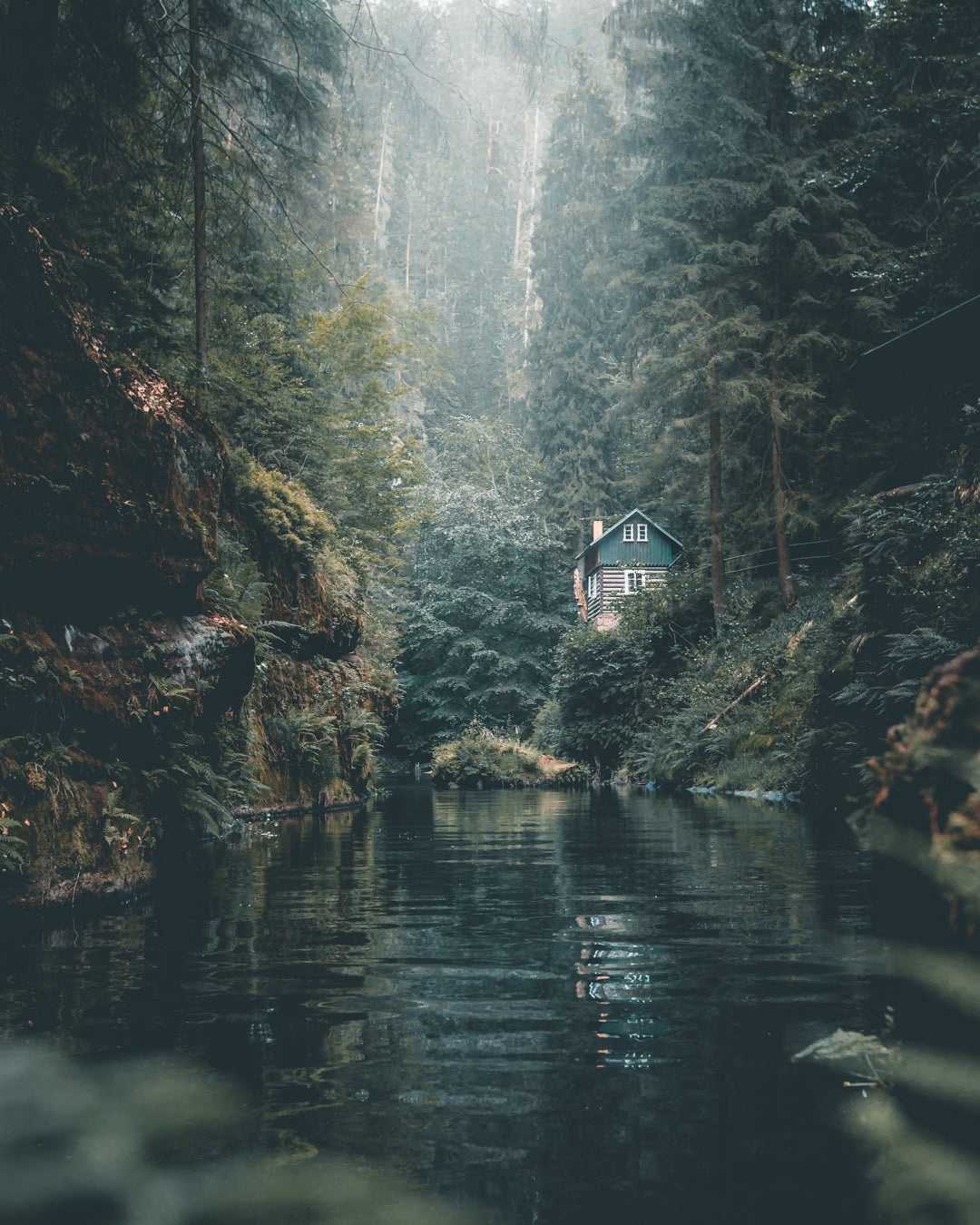 Une rivière en pleine nature, nos systèmes de filtration sont efficaces ou que vous soyez