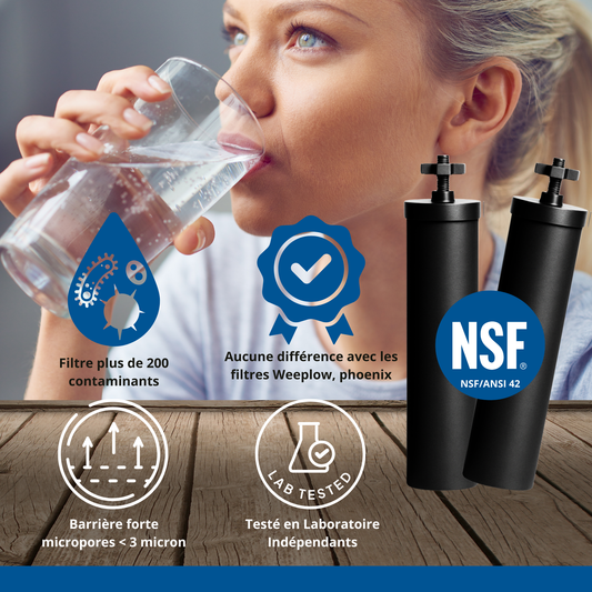 Monderma waterfilters Monderma éléments de filtration Monderma Black filters - cartouche filtration MD-black-filter-2, 12 mois, compatibles Berkey, berkefeld