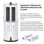 BERKEY SYSTEMS Cartuccia filtrante Berkey PF-2 - Set Berkey di 2, per ioni di fluoro, arsenico e metalli pesanti