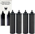 BERKEY SYSTEMS Filtres charbon phoenix Berkey Phoenix Gravity New Millennium Edition 4 Filters Elements