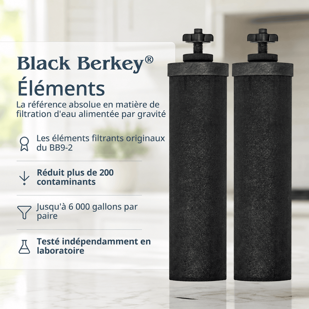 BERKEY SYSTEMS Fontaine berkey filtration Royal Berkey 12,3 L – 2 filtres Black Berkey