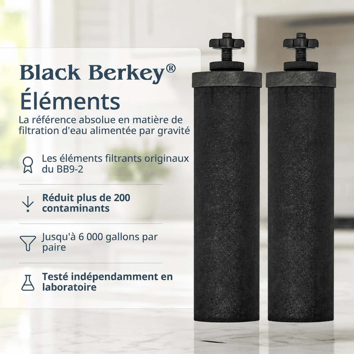 BERKEY SYSTEMS Fontaine berkey filtration Royal Berkey 12,3 L – 2 filtres Black Berkey