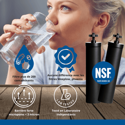 Monderma waterfilters fontaine monderma Monderma Big 8.5L - inclus 2 filtres black filters, 1 base inox, 1 robinet avec vue